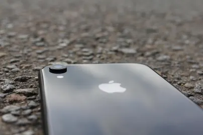 Casino Jungle Raja Mobiele App